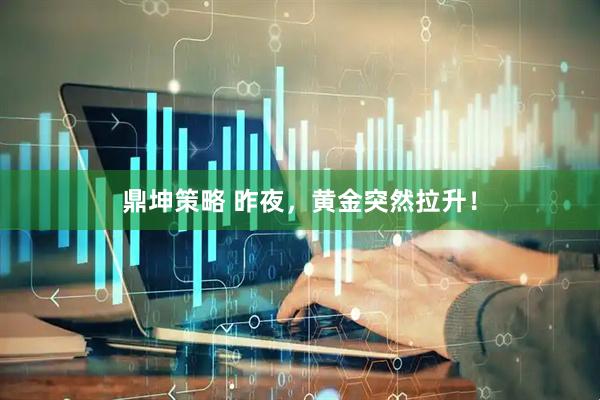 鼎坤策略 昨夜，黄金突然拉升！