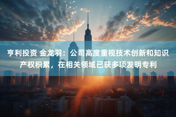 亨利投资 金龙羽：公司高度重视技术创新和知识产权积累，在相关领域已获多项发明专利